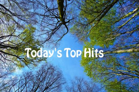 Deezer: Today's Top Hits November 4th